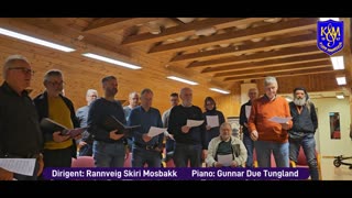 KLM You'll never walk alone